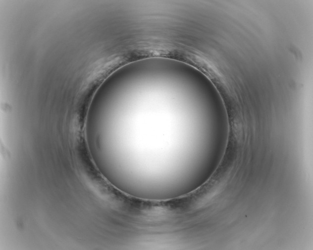 X0000091170594200708091206