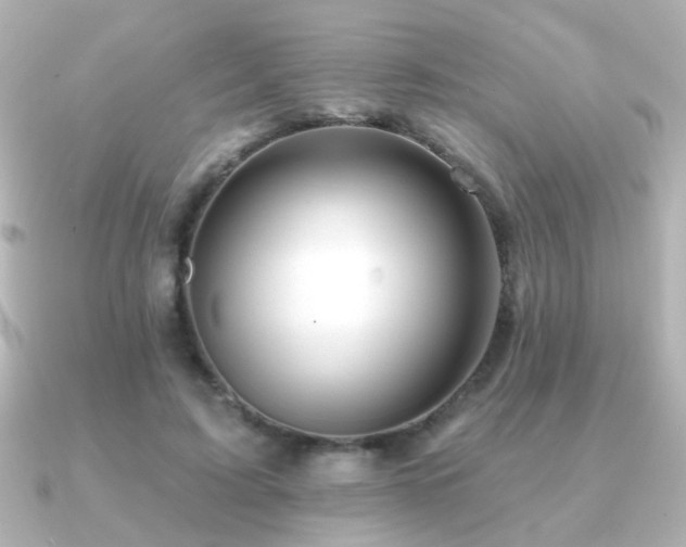 X0000091170595200708091206