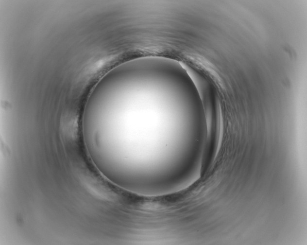 X0000091170596200708091206