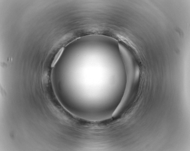 X0000091170597200708091206