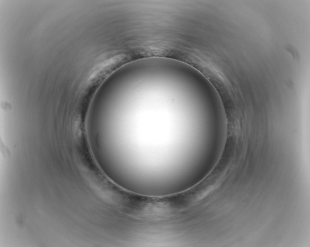 X0000091170599200708091206