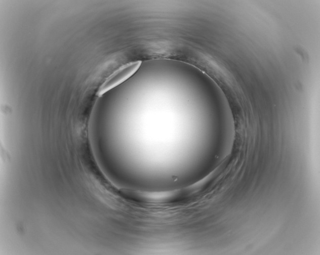 X0000091170601200708091206