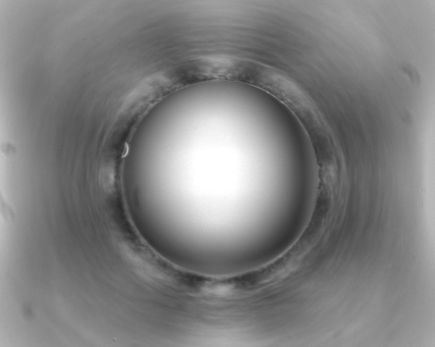X0000091170602200708091205
