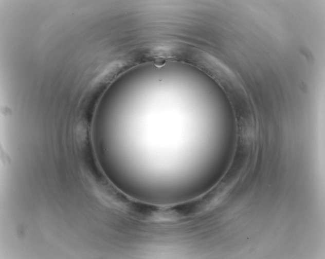 X0000091170603200708091205