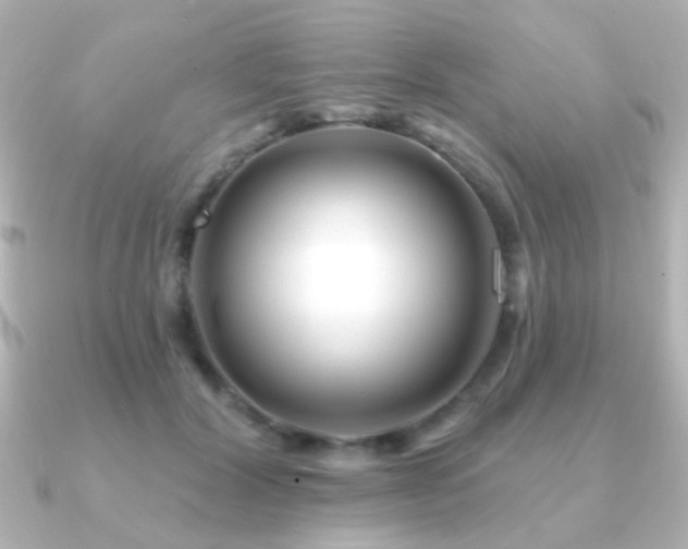 X0000091170604200708091205