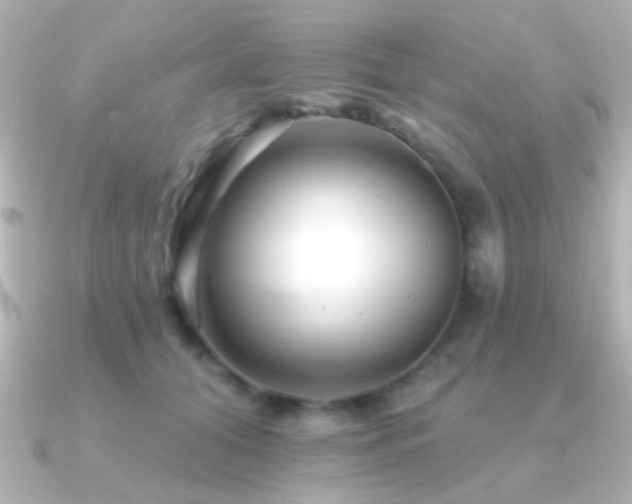 X0000091170608200708091205