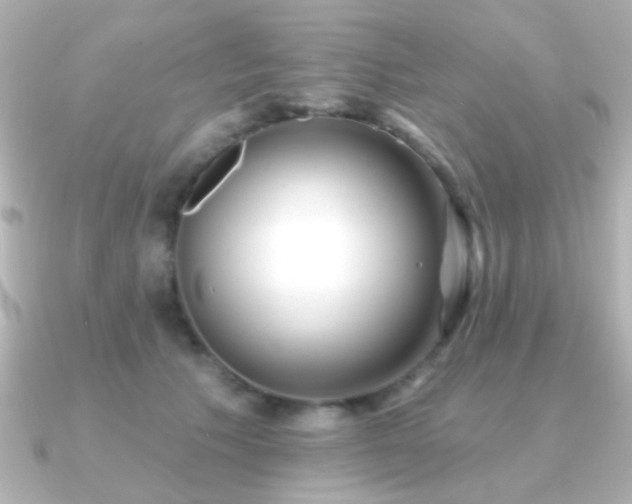 X0000091170609200708091205