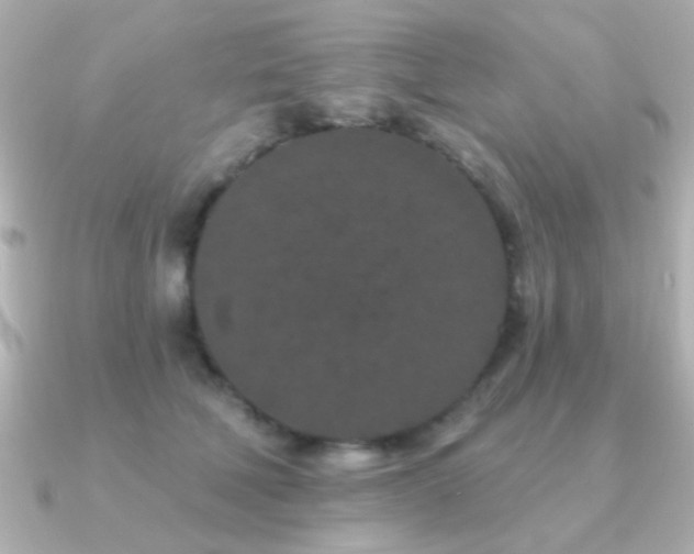 X0000091170610200708091205