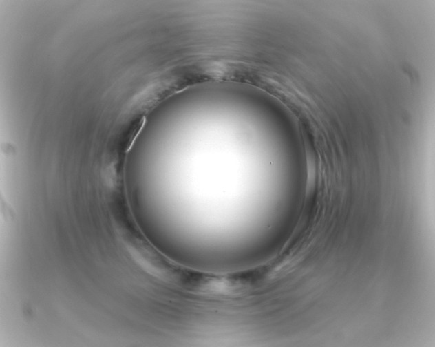 X0000091170611200708091205