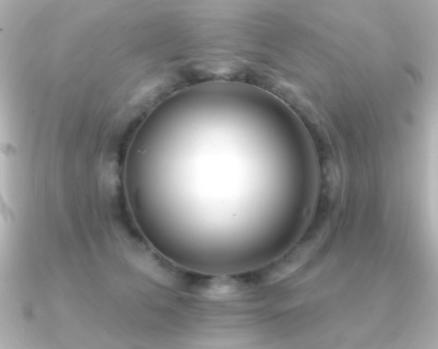 X0000091170612200708091205