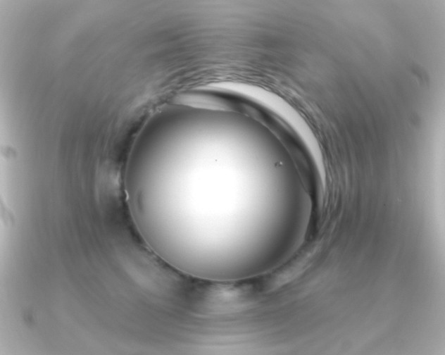 X0000091170613200708091205