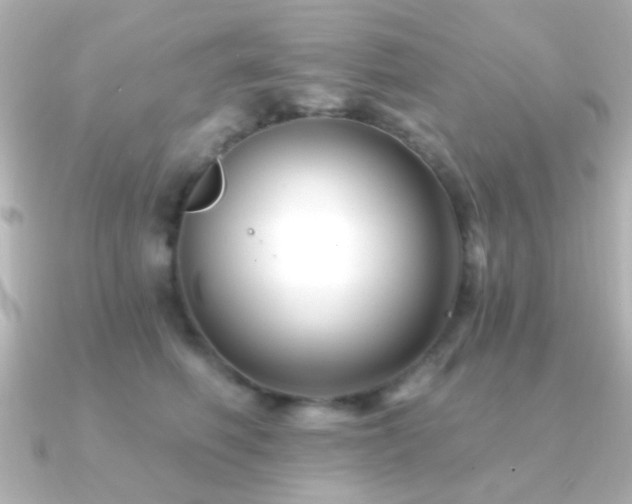 X0000091170614200708091205