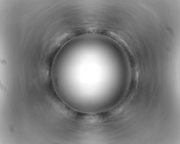 X0000091170615200708091205