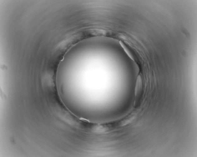 X0000091170616200708091205