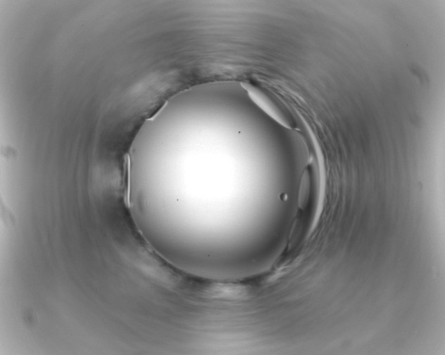 X0000091170617200708091205