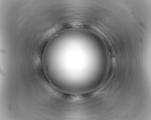 X0000091170618200708091205