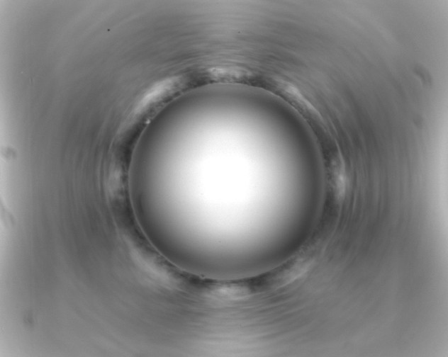 X0000091170619200708091205