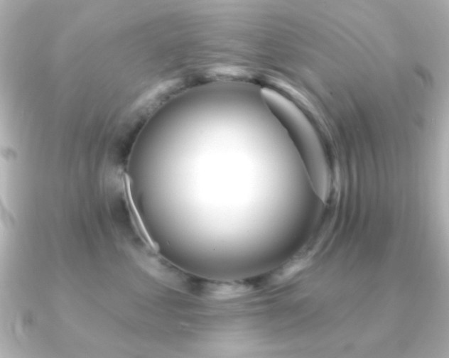 X0000091170621200708091205