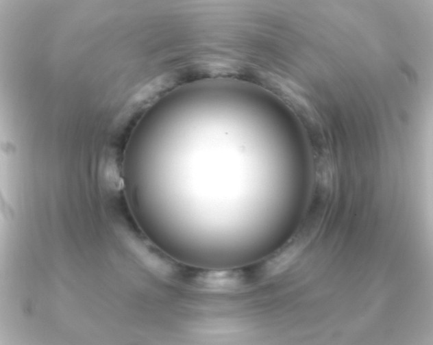 X0000091170622200708091205