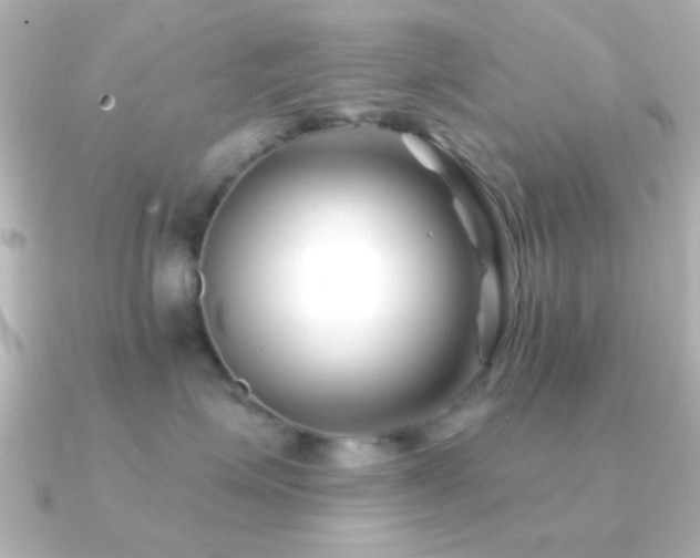 X0000091170623200708091205