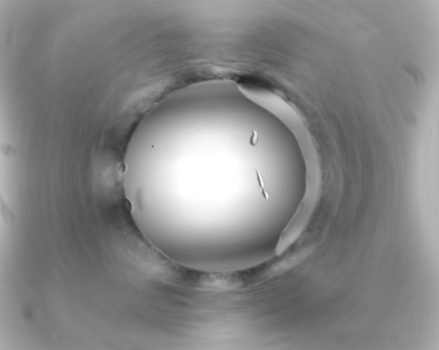 X0000091170624200708091205