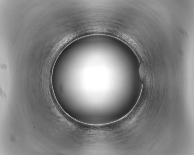 X0000091170625200708091205