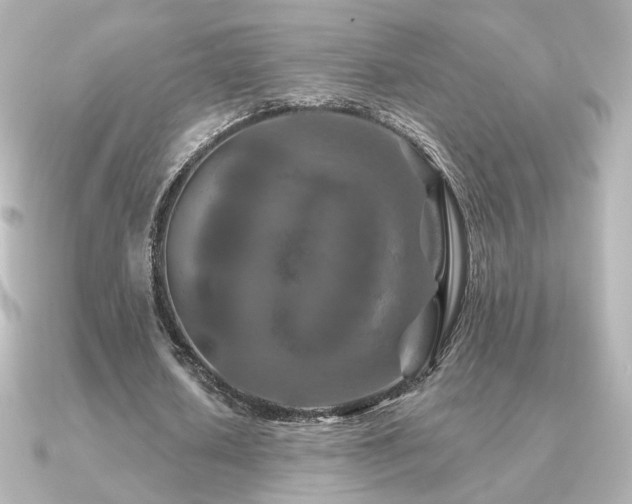 X0000091170626200708091205