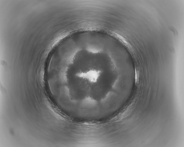 X0000091170627200708091205
