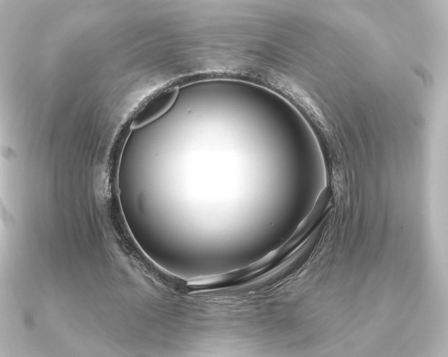 X0000091170628200708091205