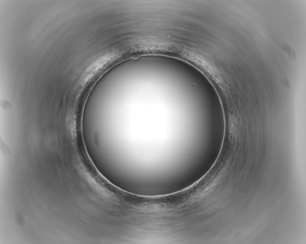 X0000091170629200708091205
