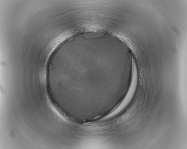 X0000091170630200708091205