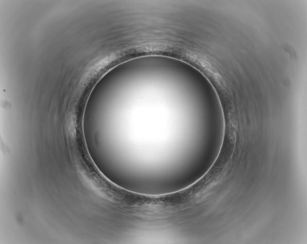 X0000091170631200708091205
