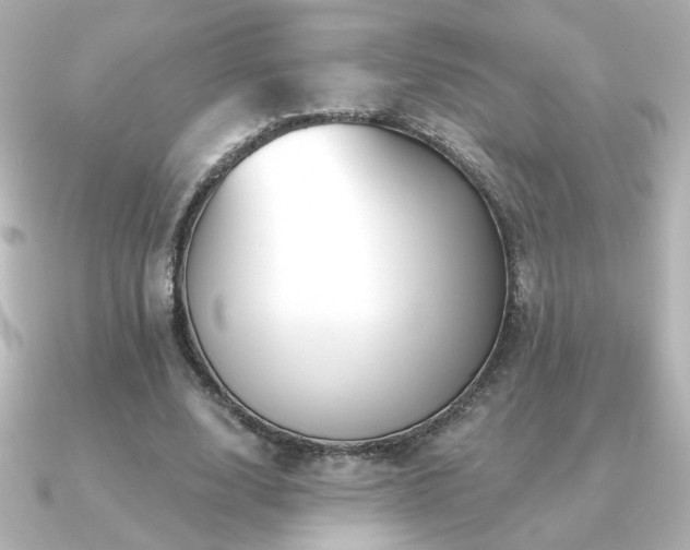 X0000091170632200708091205