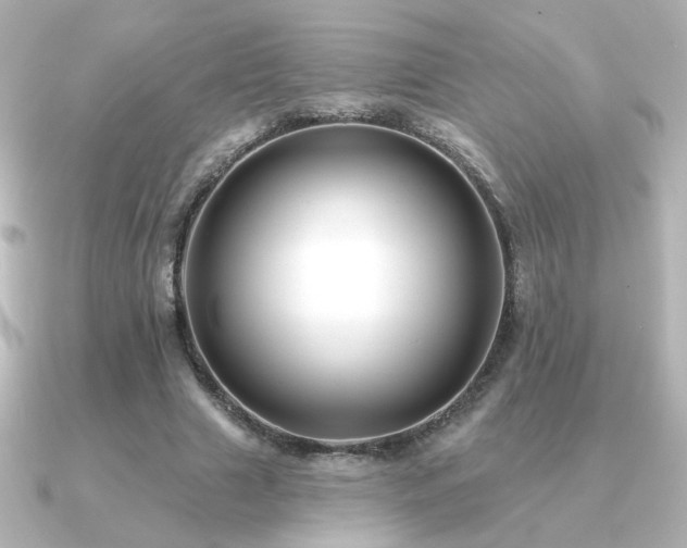 X0000091170633200708091205