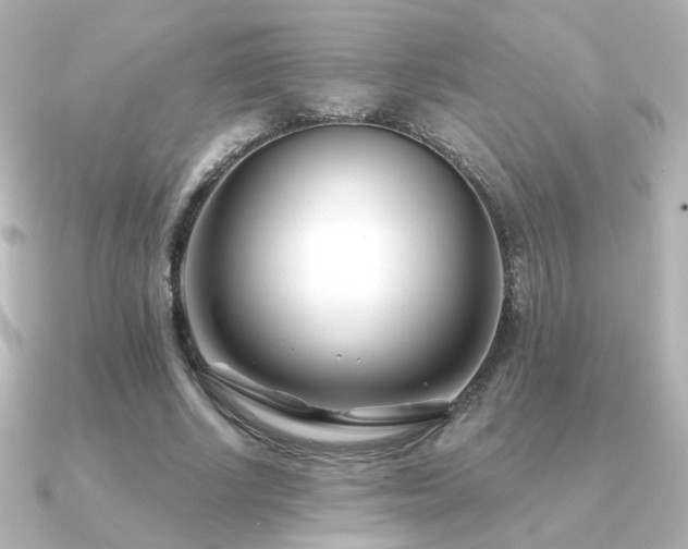 X0000091170634200708091205