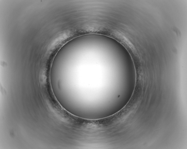 X0000091170635200708091205