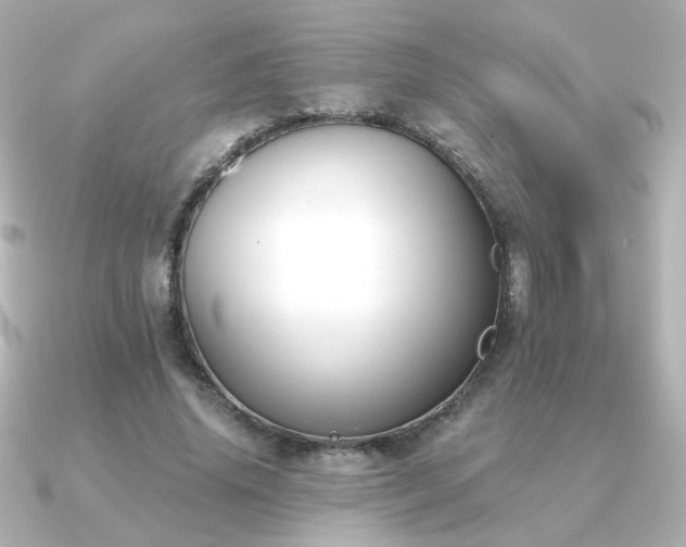 X0000091170636200708091205