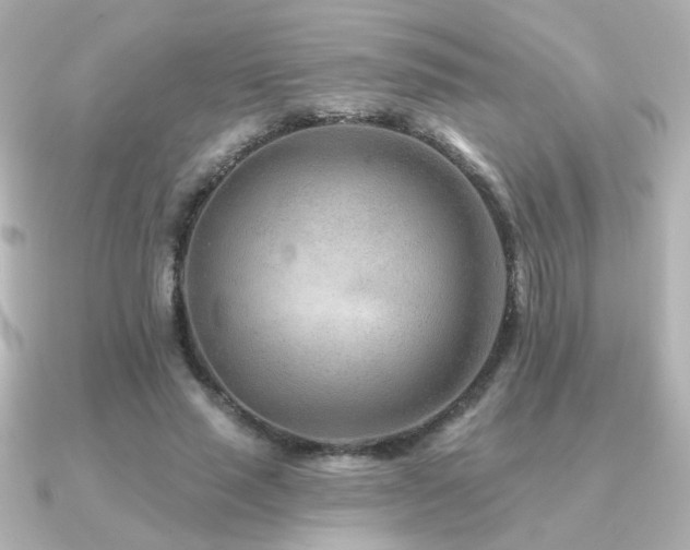 X0000091170637200708091205