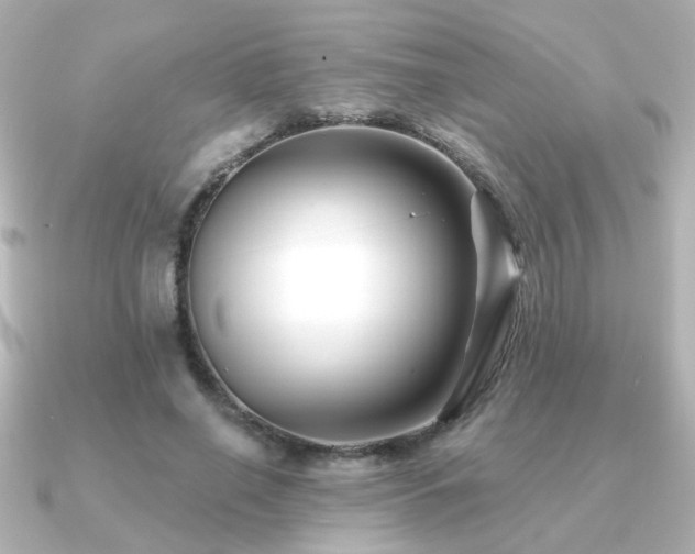 X0000091170638200708091205