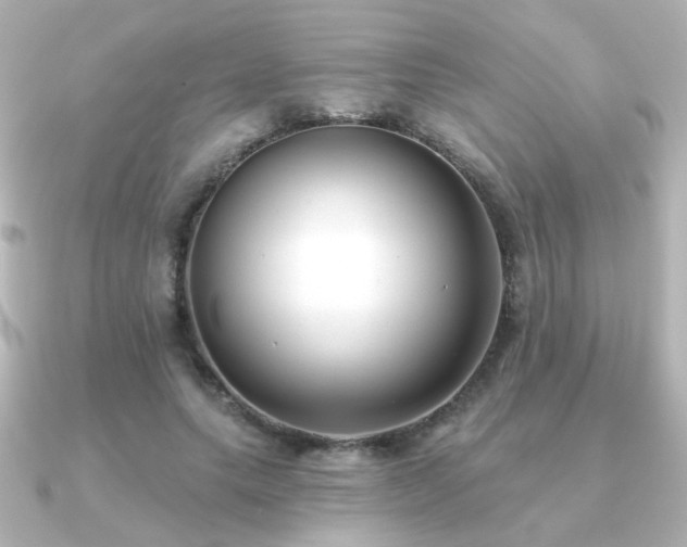 X0000091170639200708091205