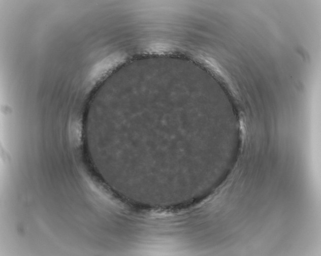 X0000091170640200708091205