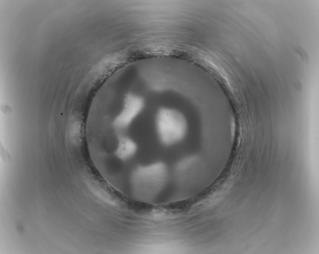 X0000091170641200708091205