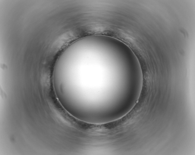 X0000091170642200708091205