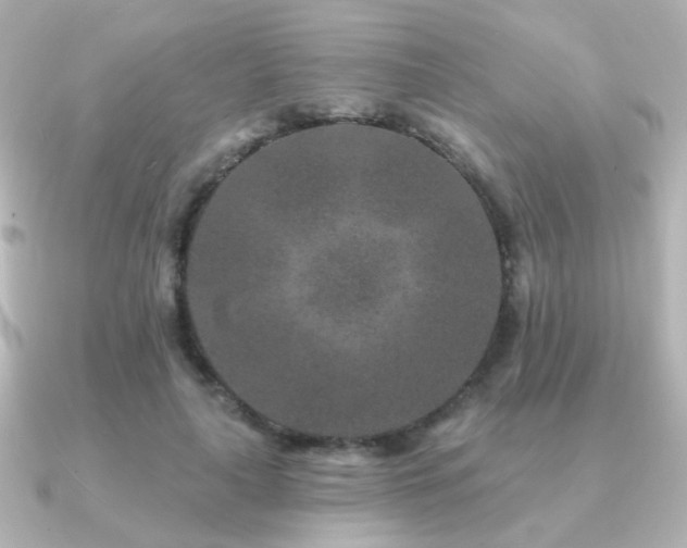 X0000091170643200708091205