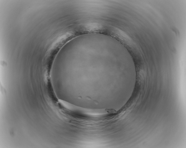 X0000091170644200708091205