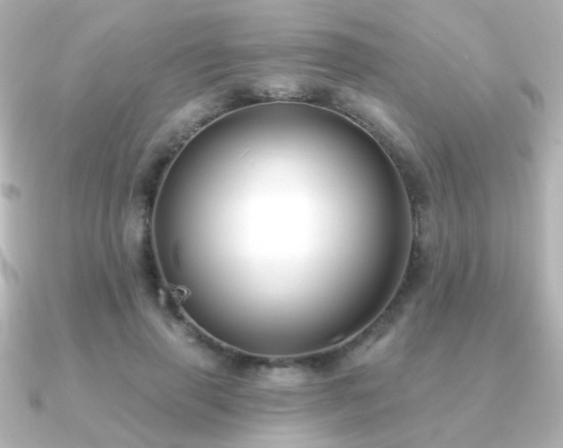 X0000091170645200708091205