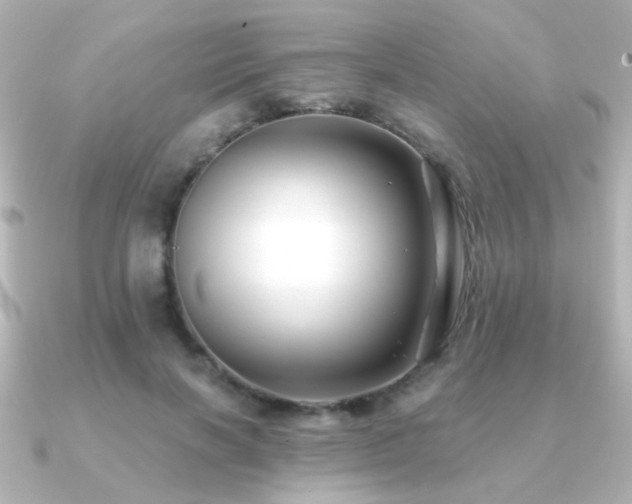 X0000091170646200708091205