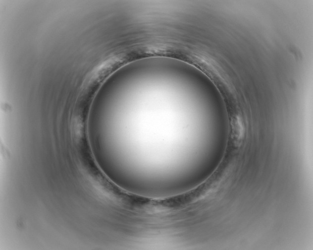 X0000091170648200708091205