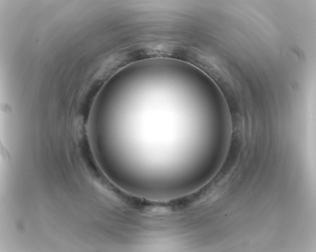 X0000091170649200708091205