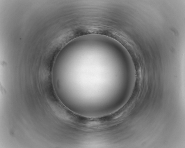X0000091170653200708091205